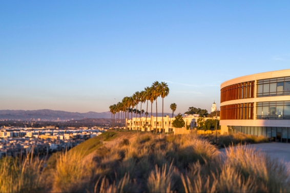 LMU Library 